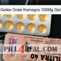 Gelée Orale Kamagra 100Mg Gel 41